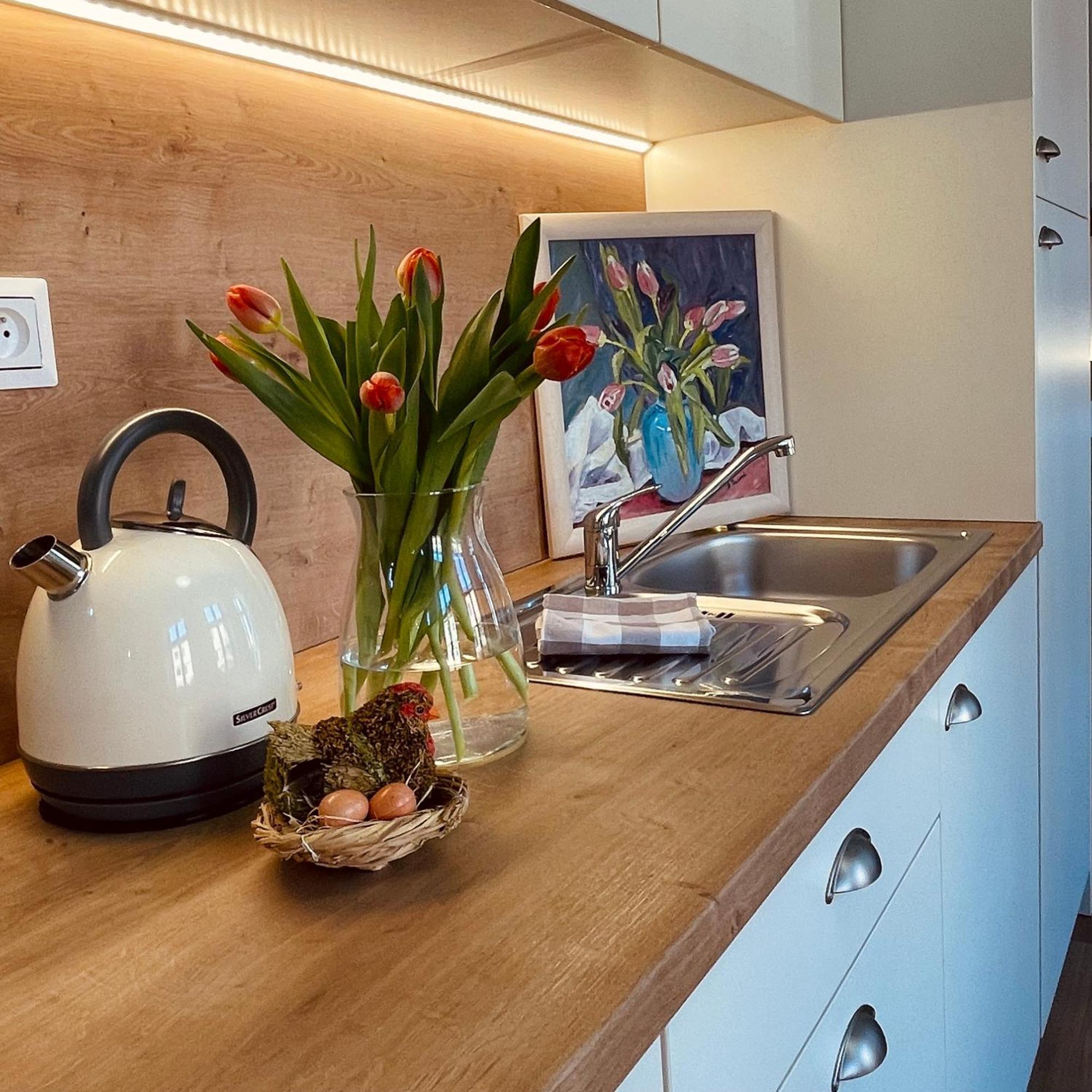 Apartmany Basta & Wellness Susice Ngoại thất bức ảnh